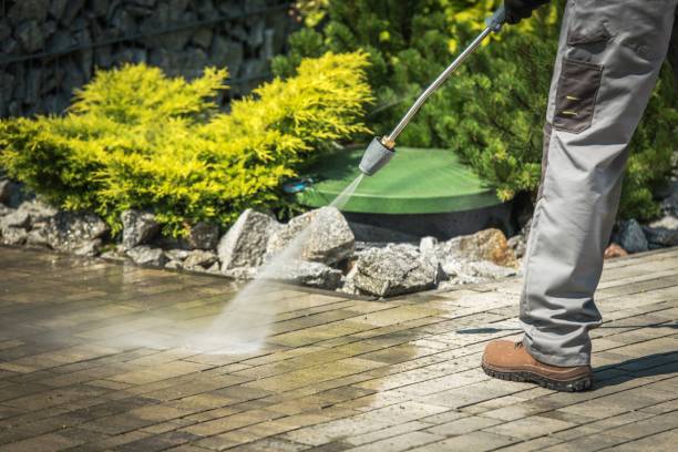 Best Solar Panel Cleaning  in Ridgetop, TN